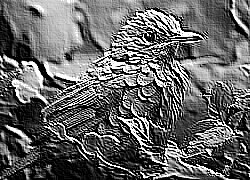 Skamielina