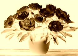 Sepia + Negatyw
