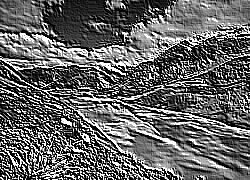 Skamielina