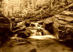 Sepia