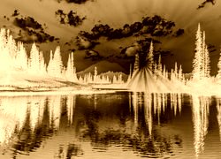 Sepia + Negatyw