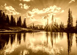 Sepia