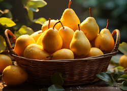 Oryginalny obrazek