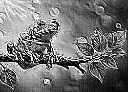 Skamielina