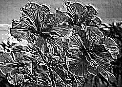 Skamielina