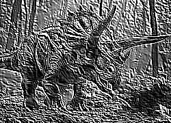 Skamielina