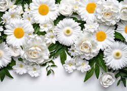 Oryginalny obrazek
