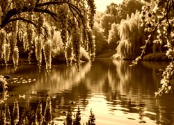 Sepia