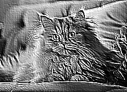 Skamielina