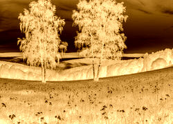 Sepia + Negatyw