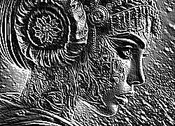 Skamielina