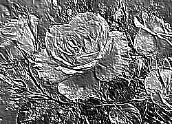 Skamielina