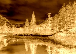 Sepia + Negatyw
