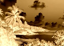 Sepia + Negatyw