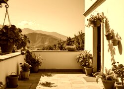 Sepia