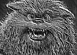 Skamielina