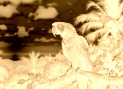 Sepia + Negatyw