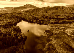 Sepia