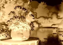 Sepia + Negatyw