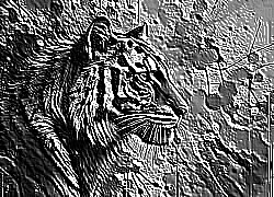 Skamielina