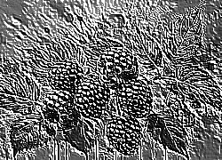 Skamielina