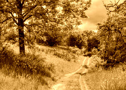 Sepia