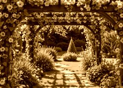 Sepia