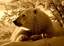 Sepia