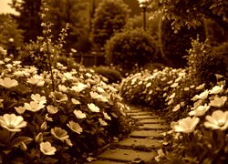Sepia