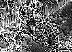 Skamielina