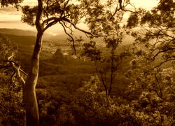 Sepia