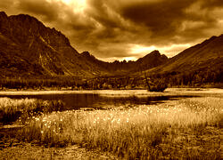 Sepia