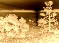 Sepia + Negatyw