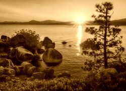 Sepia