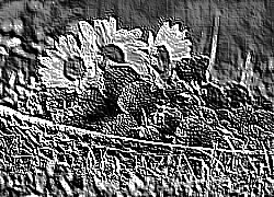 Skamielina