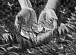 Skamielina