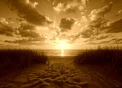 Sepia