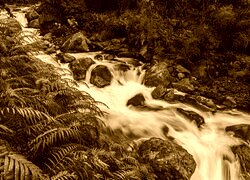 Sepia