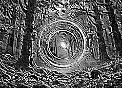 Skamielina