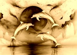 Sepia + Negatyw