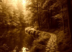Sepia