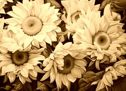 Sepia