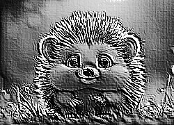 Skamielina