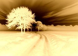 Sepia + Negatyw