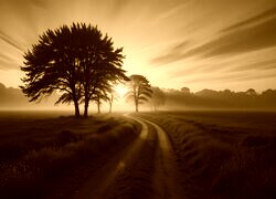 Sepia