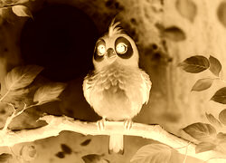 Sepia + Negatyw