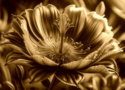 Sepia