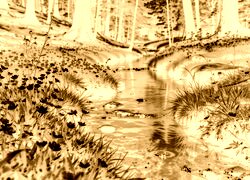 Sepia + Negatyw