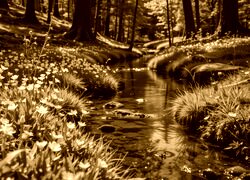 Sepia