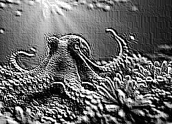 Skamielina